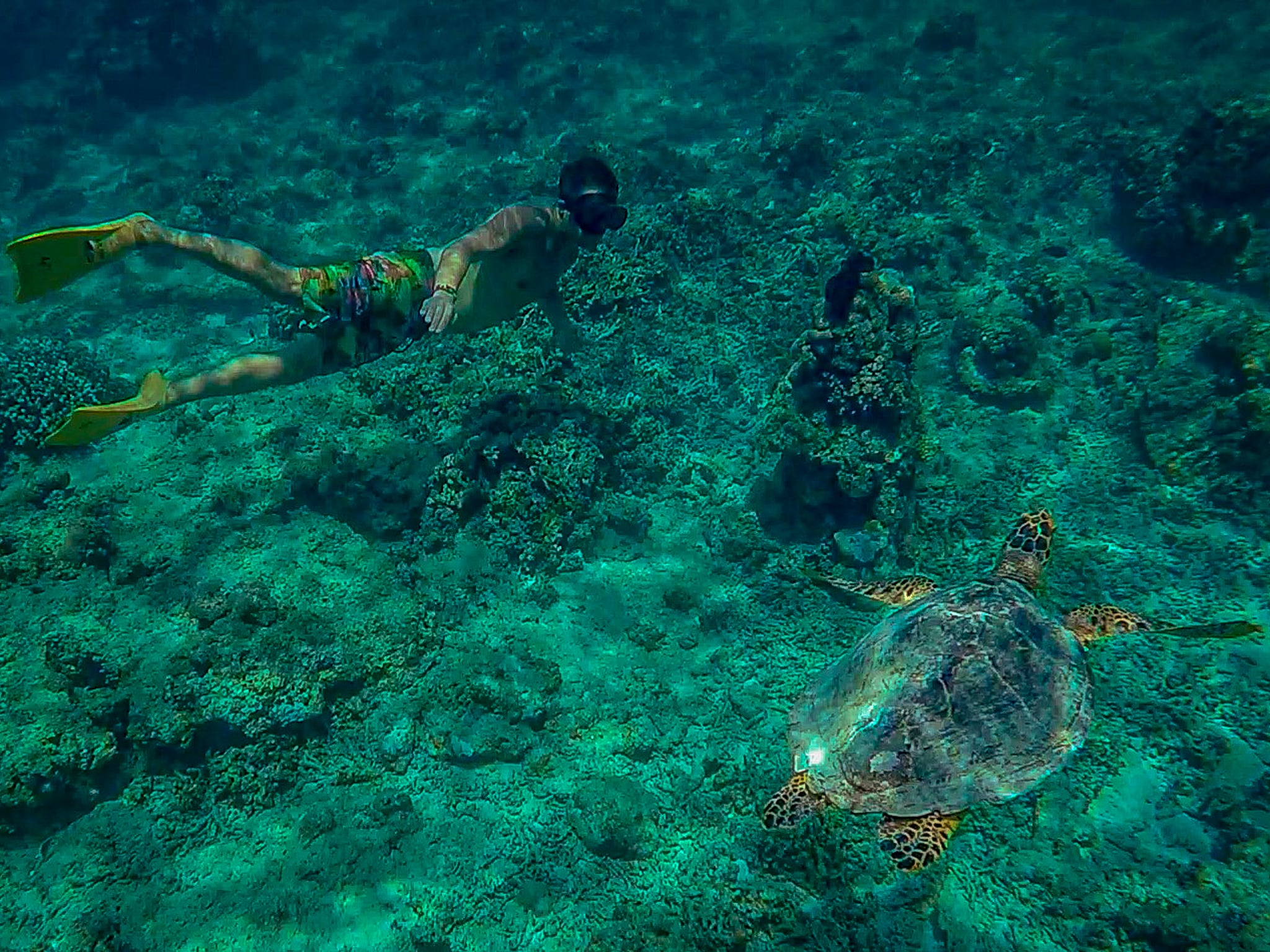 I love snorkelling, favourite activity when backpacking Indonesia