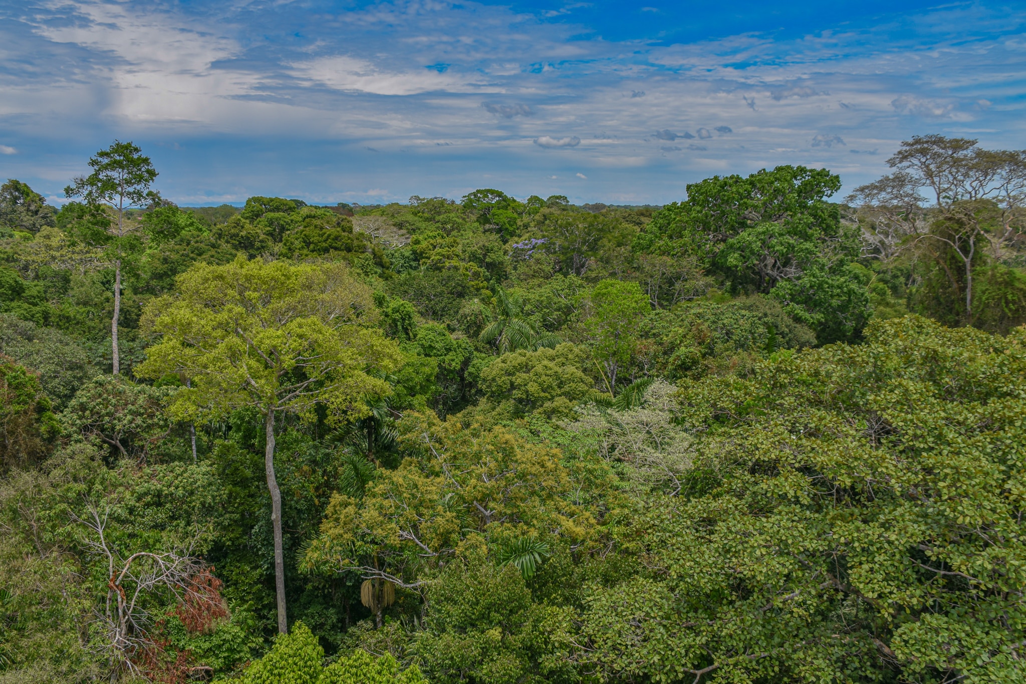 Looking over the Amazon as I carry on backpacking Peru
