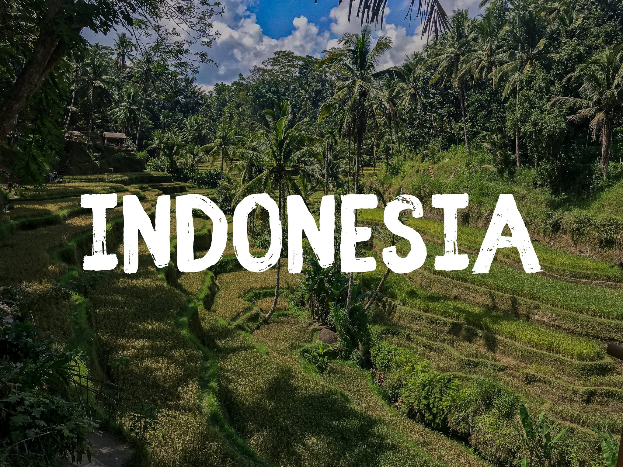 Far Out Travel pic of Indonesia