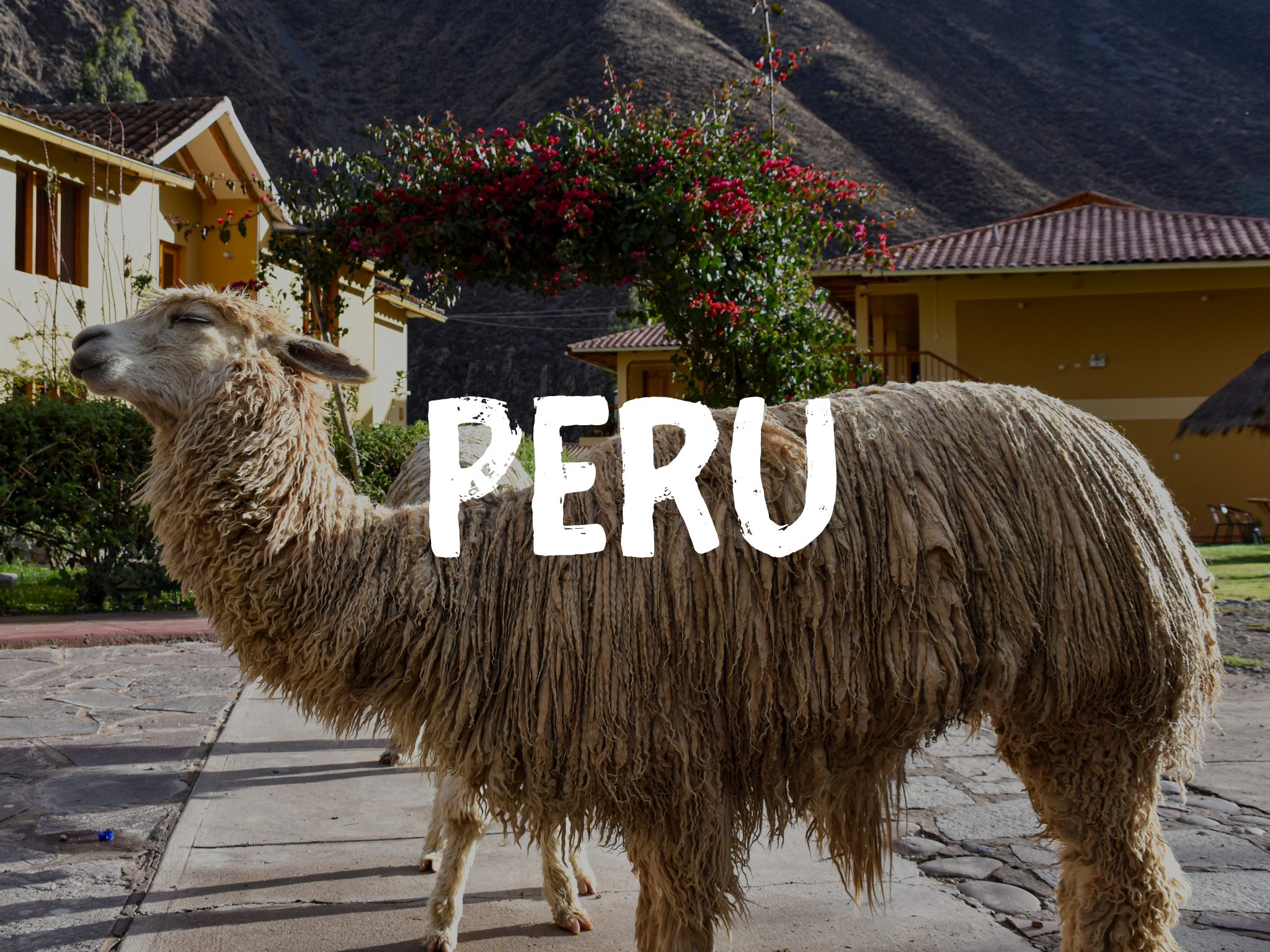 Far Out Travel pic of Peru
