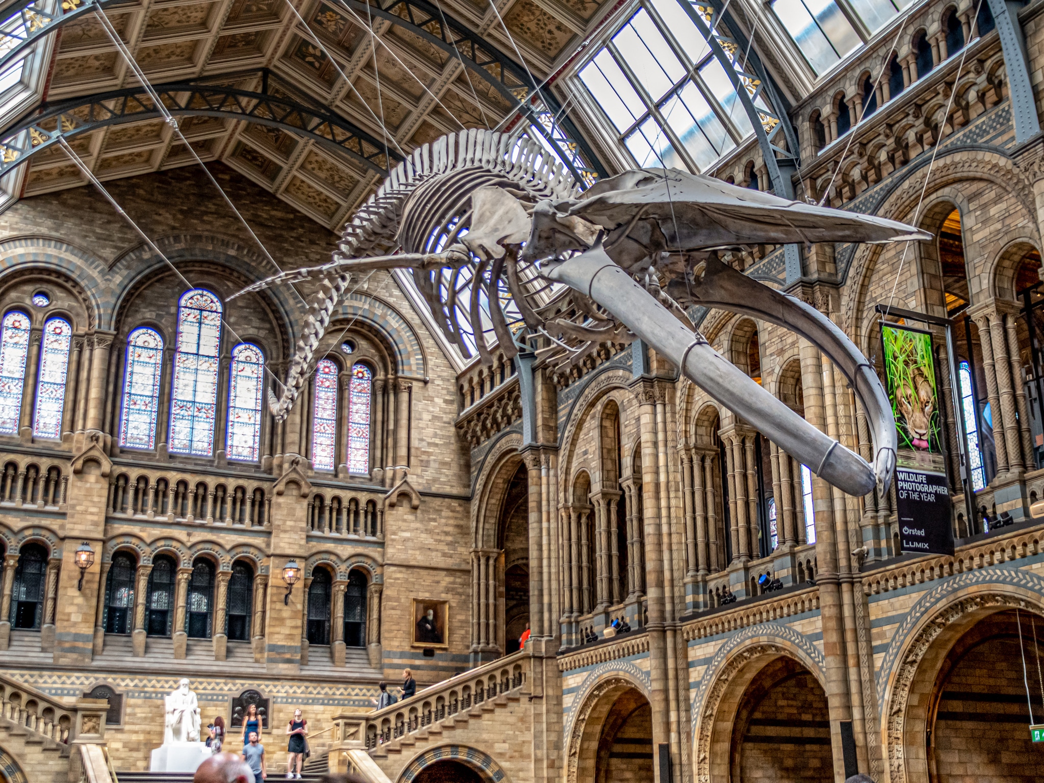 Backpacking the UK at the Natural History Museum