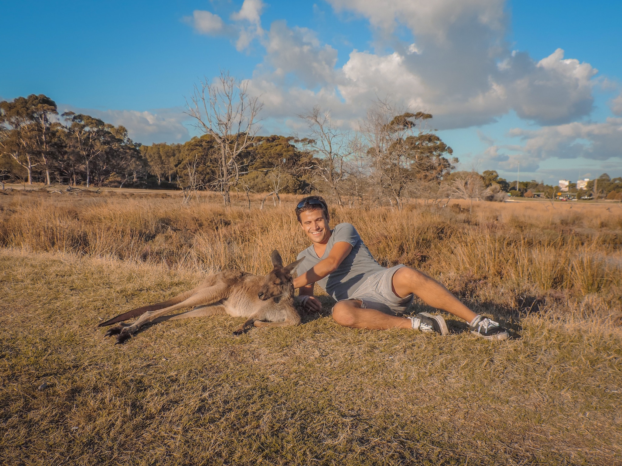 Top 3 - Kangaroo times in Australia